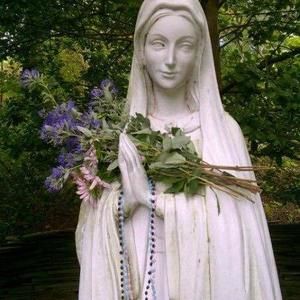 Meet your Posher, Evangeline